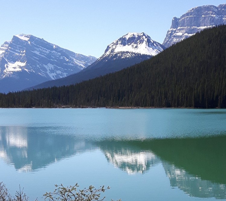 Bow Lake, Icefield Parkway, Alberta is the perfect bucket list destination