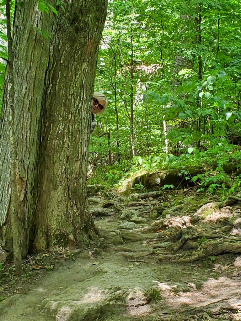 The trails at Rattlesnake Point are full of tree roots and loose rock, making the climbs difficult