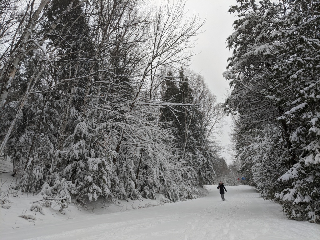 For a magical winter getaway from Toronto, Orillia offers a plethora of winter activities for the adventure enthusiast